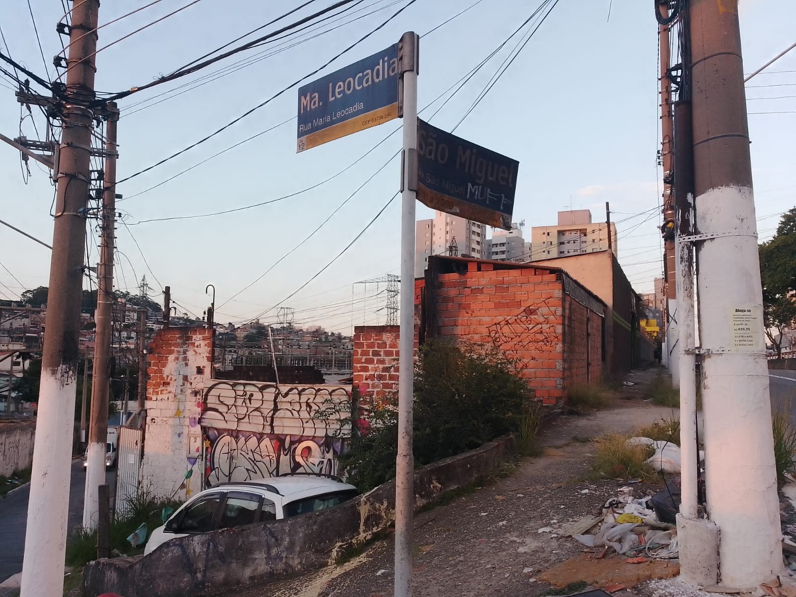 Terreno com Galpão e 3 casas