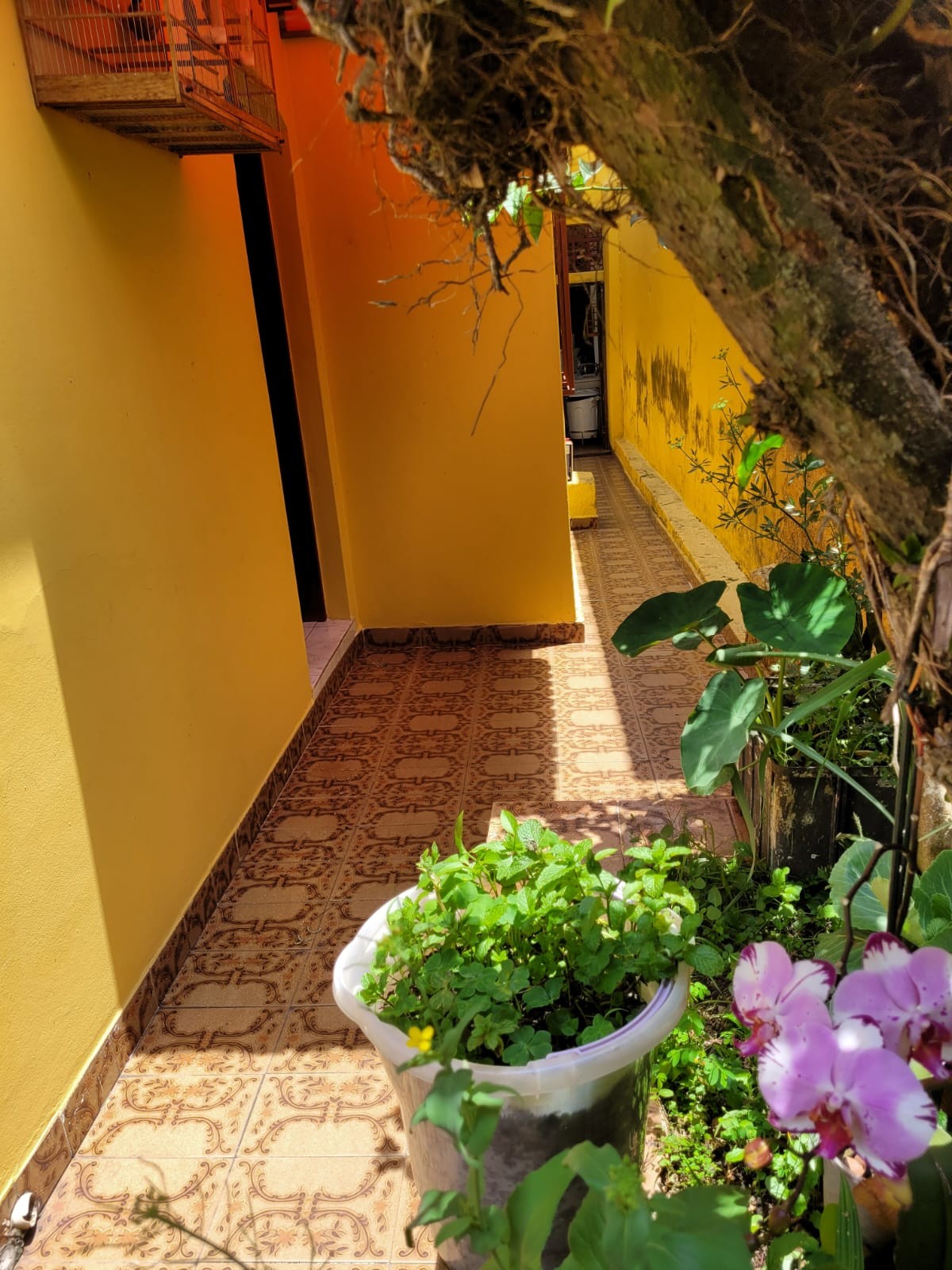 Sobrado com 4 dorms + Salão comercial - 350 m²