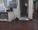 Sobrado com 3 Quartos à venda, 100m² - Vila Guaraní